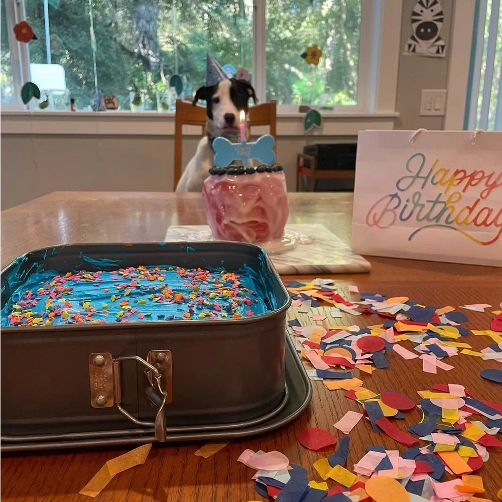 Dog Birthday party kit